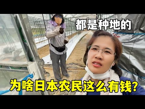 国足遭遇日,沙澳三连败,连续六强赛,彩娱乐,在线娱乐中心,体育游戏互动,休闲娱乐平台,综合娱乐服务