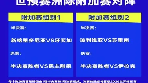 大乐透期号专家推荐质合分析前区十码火力解析